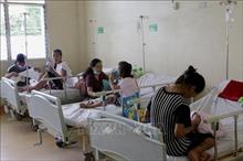555 người tử vong vì sốt xuất huyết tại Philippines và Thái Lan